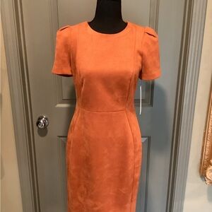 Calvin Klein Short Sleeve Women's Corporate Style Dress Size 6. NWT